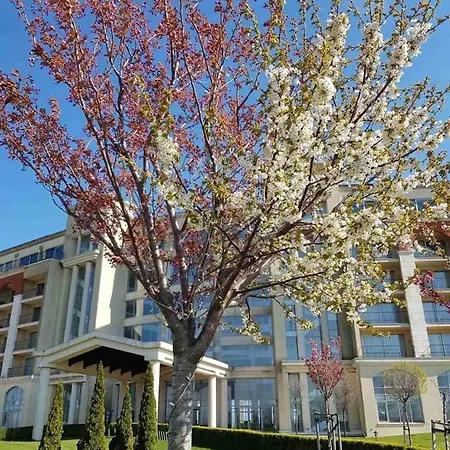 Villa Lighthouse 3 Bedrooms F36